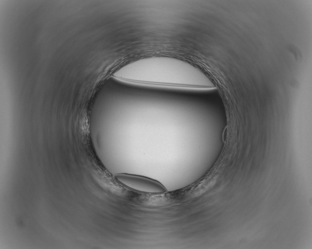 X0000112470384200908170956