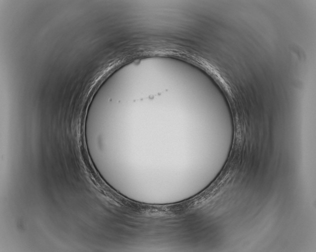 X0000112470386200908170955