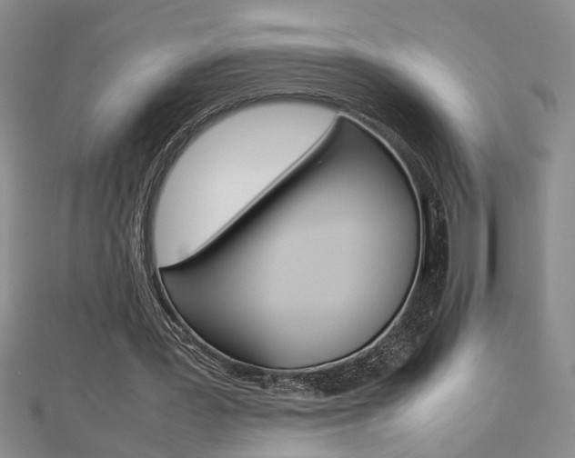X0000112470387200908170955