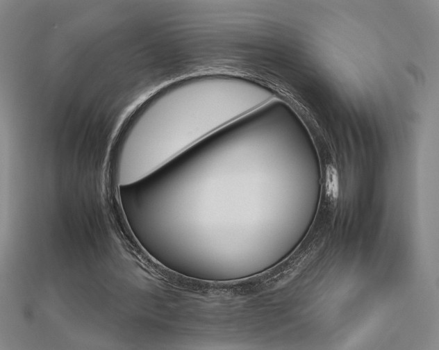 X0000112470388200908170955