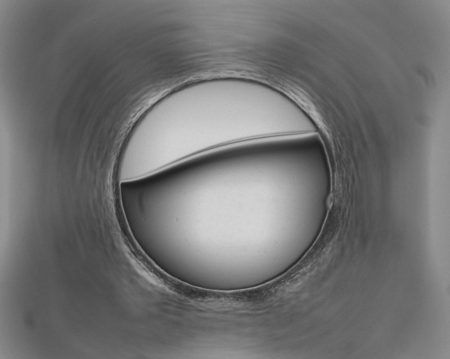 X0000112470389200908170955