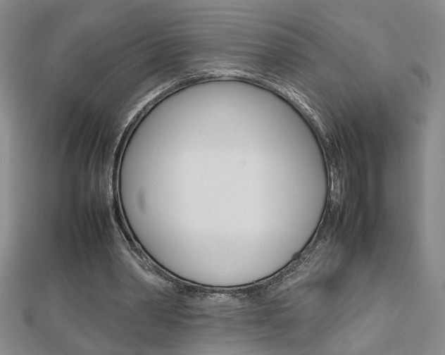 X0000112470390200908170955