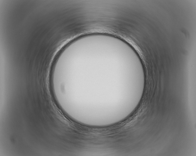 X0000112470391200908170955