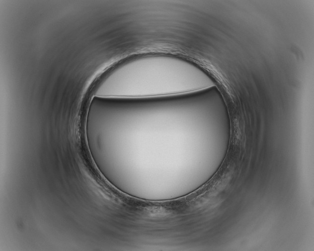 X0000112470392200908170955