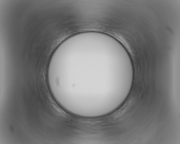 X0000112470393200908170955