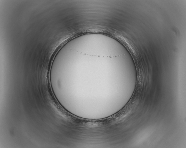 X0000112470394200908170955