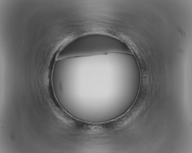X0000112470395200908170955