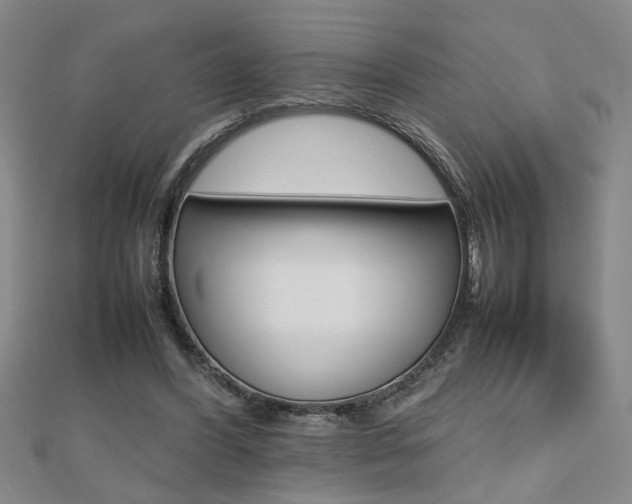 X0000112470396200908170955