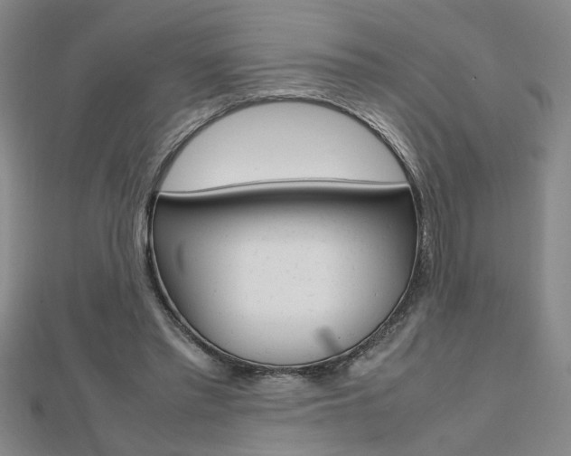 X0000112470397200908170955