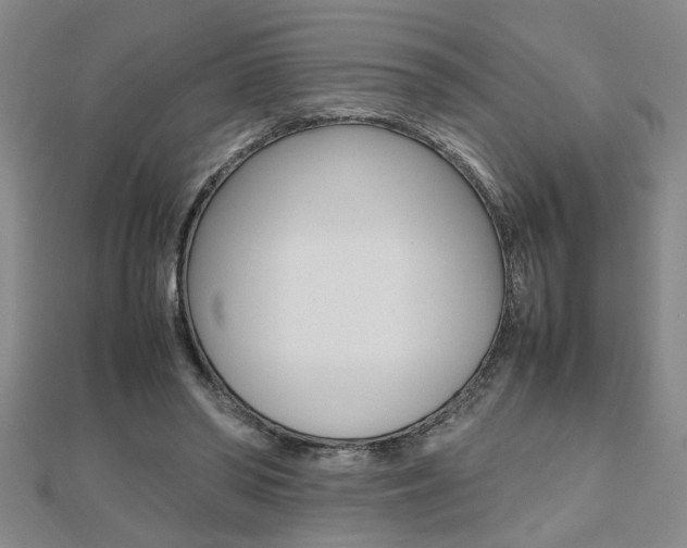 X0000112470398200908170955