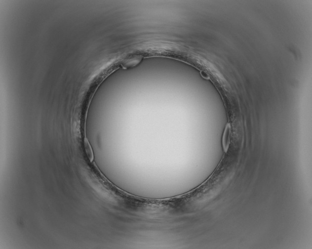 X0000112470399200908170955