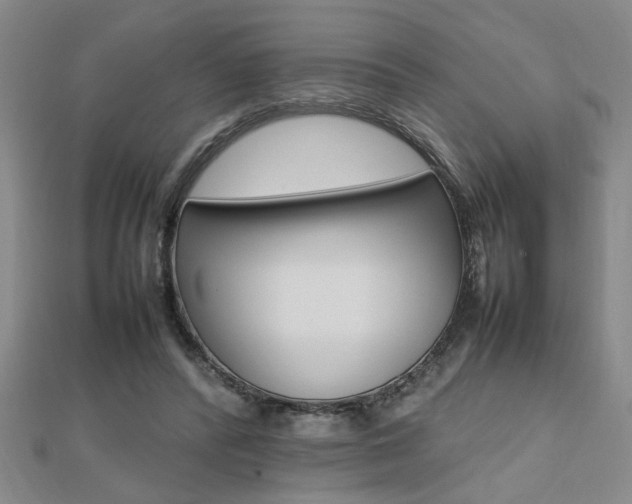 X0000112470400200908170955