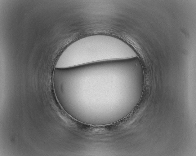 X0000112470401200908170955