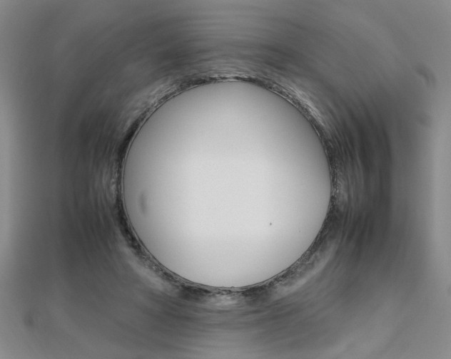 X0000112470402200908170955