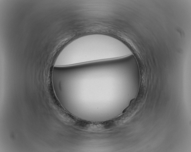 X0000112470403200908170955