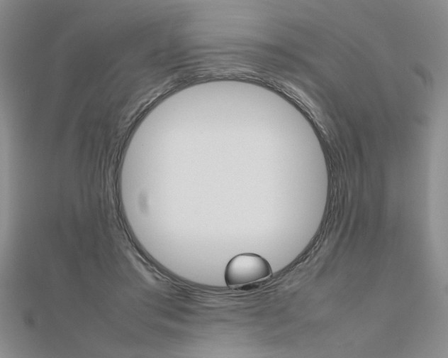 X0000112470405200908170955