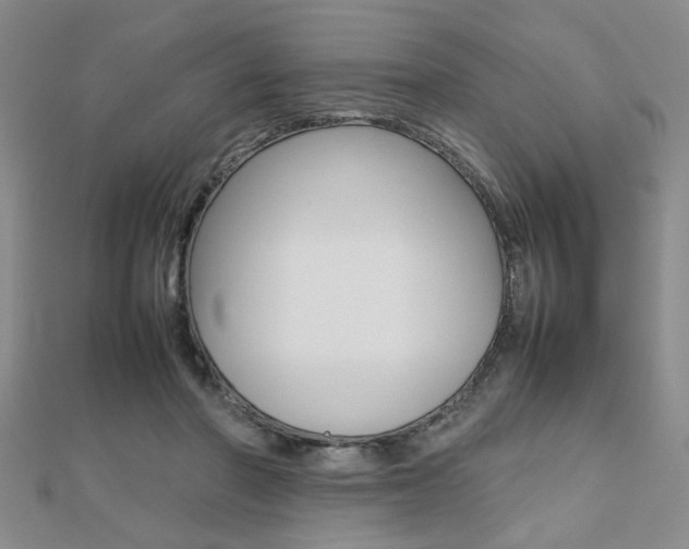 X0000112470406200908170955