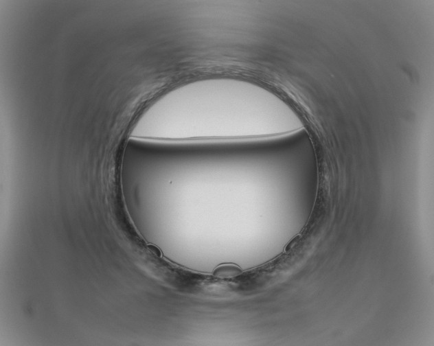X0000112470407200908170955