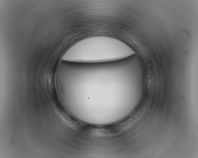X0000112470408200908170955