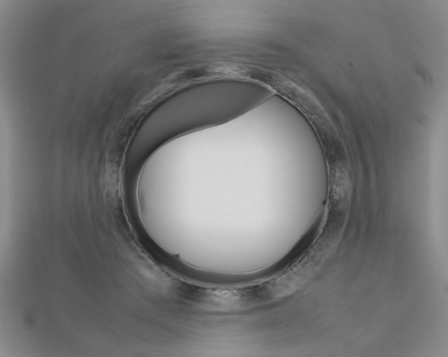 X0000112470409200908170955