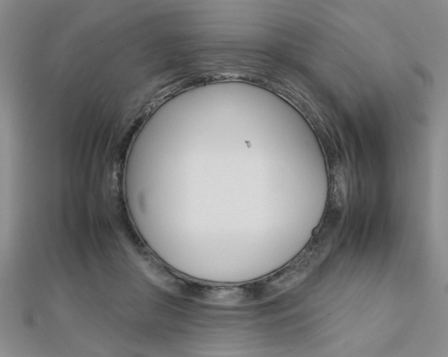 X0000112470410200908170955