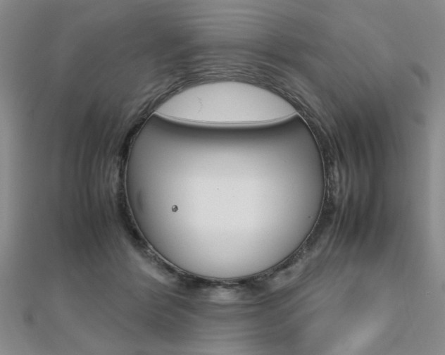 X0000112470412200908170955