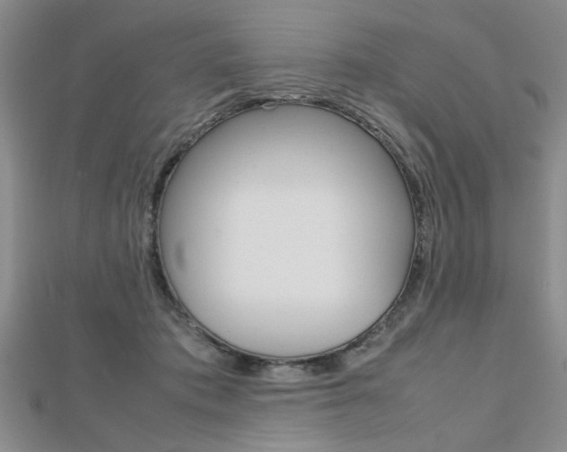 X0000112470413200908170955