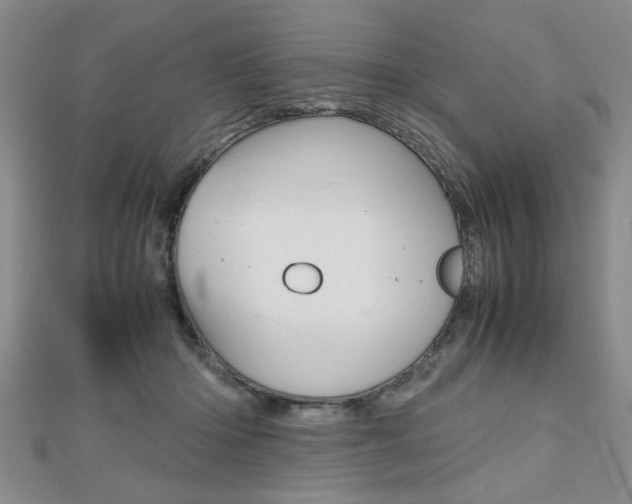 X0000112470414200908170955