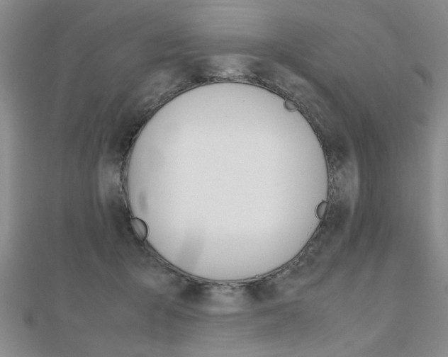 X0000112470415200908170955