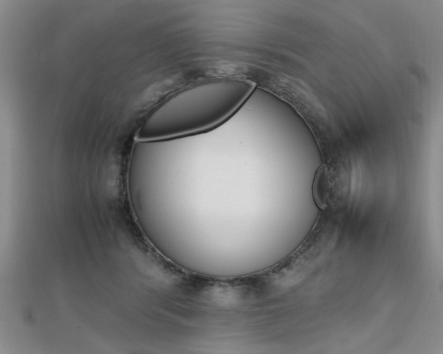 X0000112470416200908170955