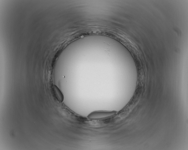 X0000112470417200908170955