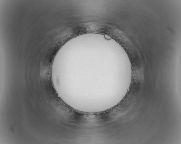 X0000112470419200908170955