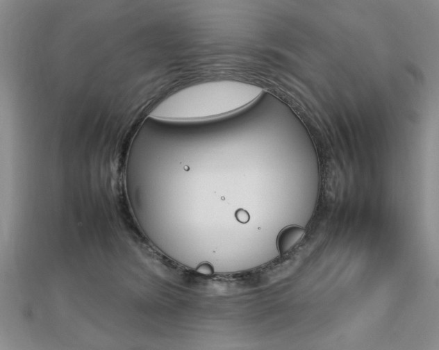 X0000112470420200908170955