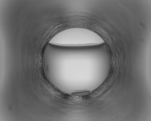 X0000112470421200908170955