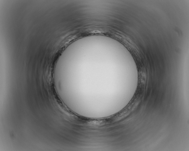 X0000112470422200908170955
