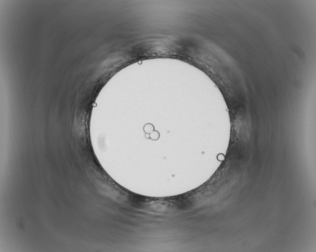 X0000112470423200908170955