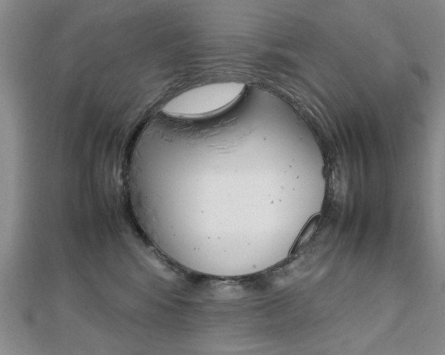 X0000112470424200908170955