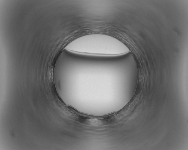 X0000112470425200908170955