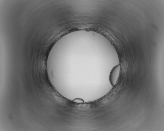 X0000112470426200908170955
