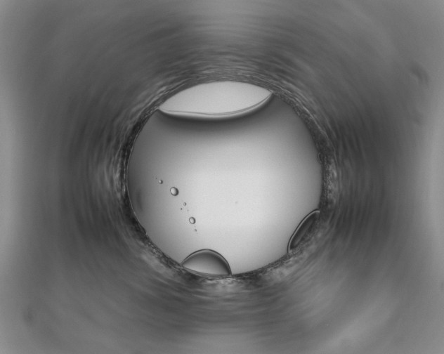 X0000112470428200908170954