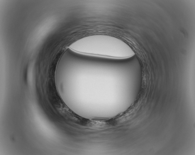 X0000112470429200908170954