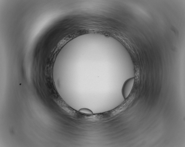 X0000112470430200908170954