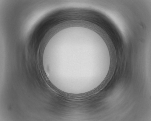 X0000112470431200908170954