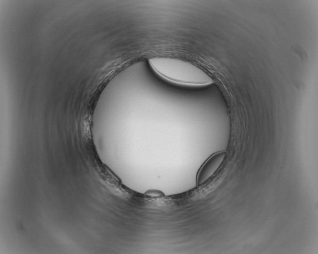 X0000112470432200908170954