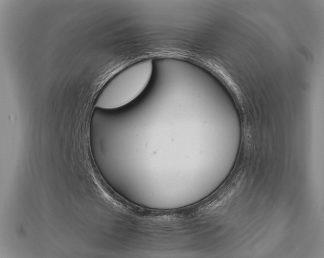X0000112470433200908170954