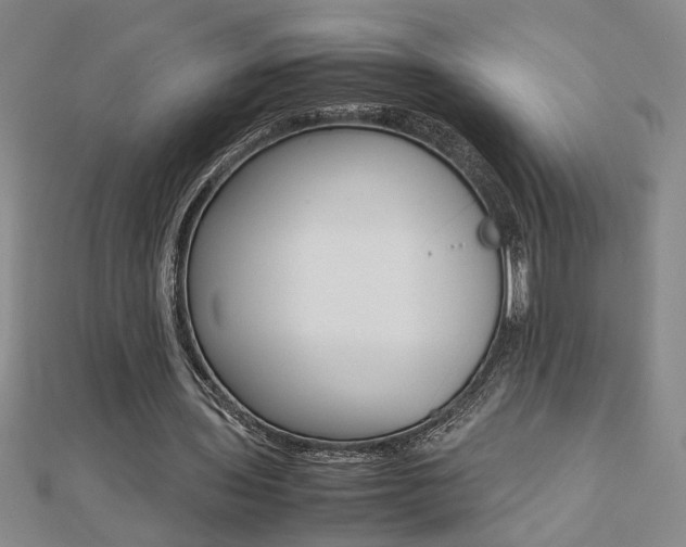 X0000112470435200908170954