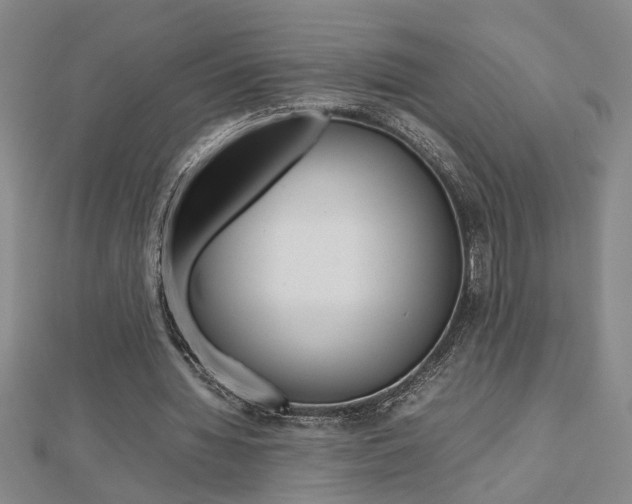 X0000112470436200908170954