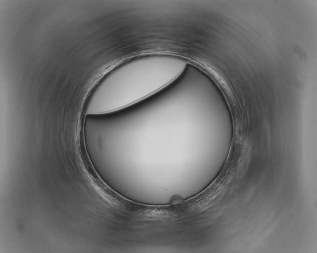 X0000112470437200908170954