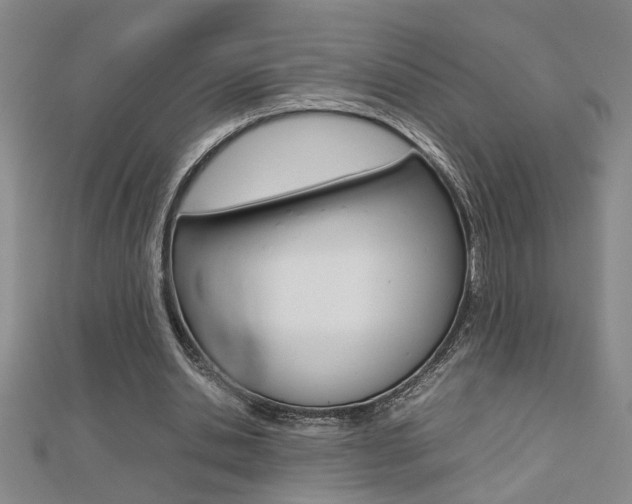 X0000112470438200908170954