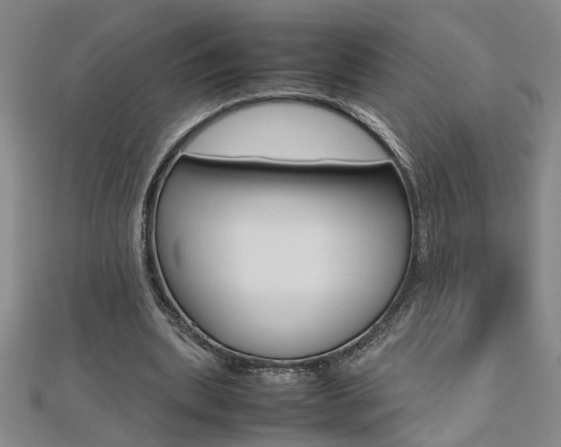 X0000112470439200908170954